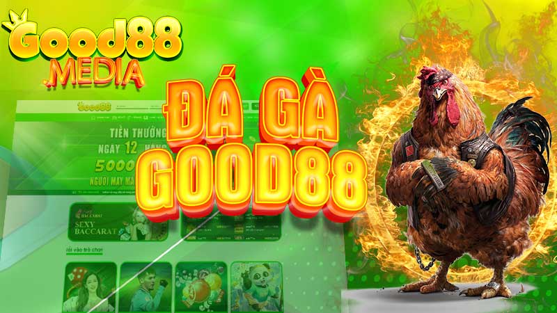 Đá Gà Good88 – Thánh Địa Đá Gà Online Uy Tín, Đẳng Cấp